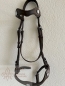 Preview: Bridle Bacelo