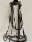Preview: Portuguese bridle Alta Escola