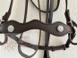 Preview: Portuguese bridle Alta Escola